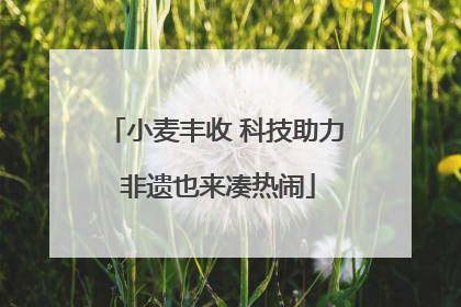 小麦丰收 科技助力 非遗也来凑热闹