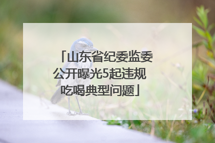 山东省纪委监委公开曝光5起违规吃喝典型问题