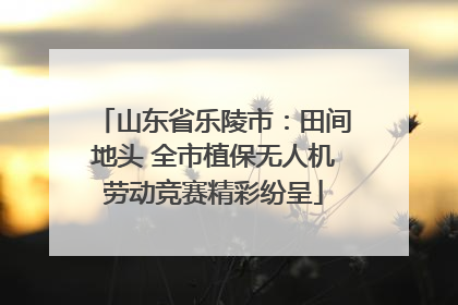 山东省乐陵市：田间地头 全市植保无人机劳动竞赛精彩纷呈