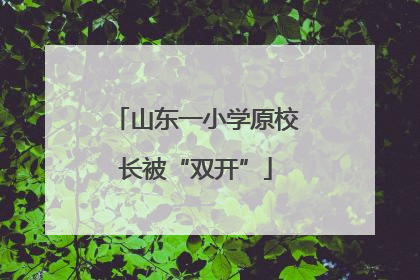 山东一小学原校长被“双开”