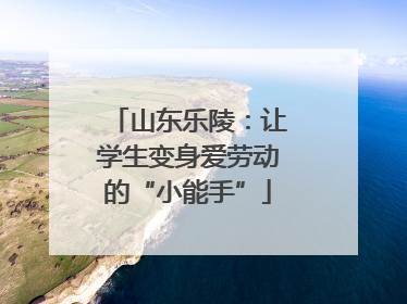 山东乐陵：让学生变身爱劳动的“小能手”