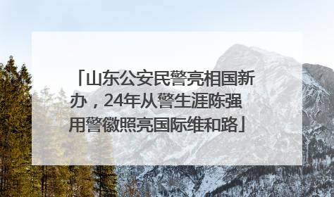 山东公安民警亮相国新办，24年从警生涯陈强用警徽照亮国际维和路