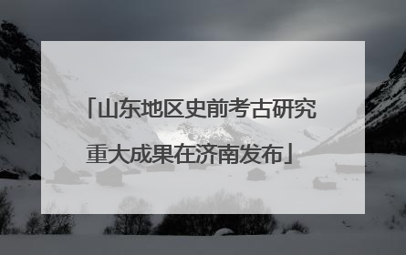 山东地区史前考古研究重大成果在济南发布