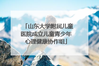 山东大学附属儿童医院成立儿童青少年心理健康协作组