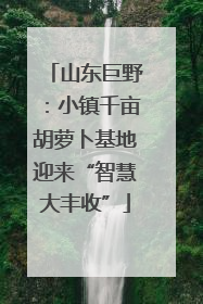 山东巨野：小镇千亩胡萝卜基地迎来“智慧大丰收”