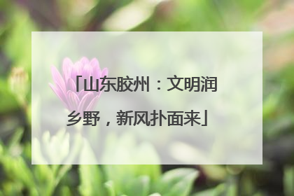 山东胶州：文明润乡野，新风扑面来
