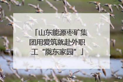 山东能源枣矿集团用爱筑就赴外职工“陇东家园”