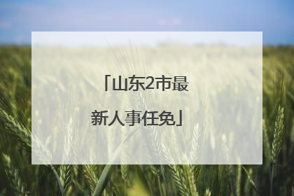 山东2市最新人事任免