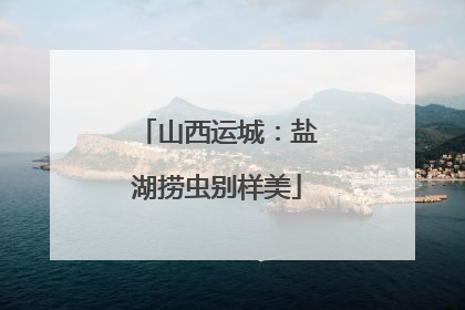 山西运城：盐湖捞虫别样美