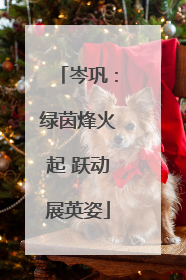 岑巩：绿茵烽火起 跃动展英姿