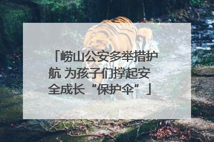 崂山公安多举措护航 为孩子们撑起安全成长“保护伞”