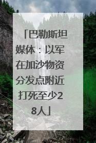 巴勒斯坦媒体：以军在加沙物资分发点附近打死至少28人