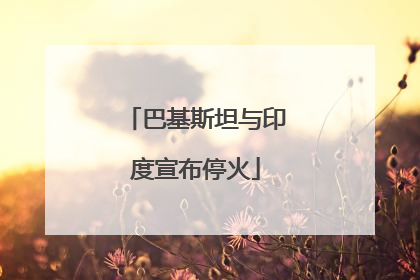 巴基斯坦与印度宣布停火