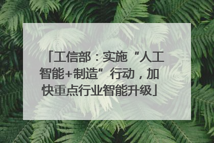 工信部：实施“人工智能+制造”行动，加快重点行业智能升级