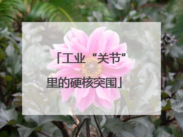 工业“关节”里的硬核突围