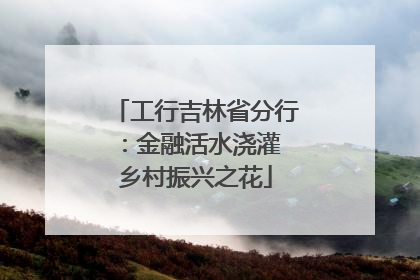 工行吉林省分行：金融活水浇灌 乡村振兴之花