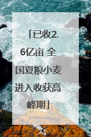 已收2.6亿亩 全国夏粮小麦进入收获高峰期