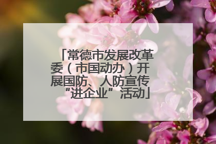 常德市发展改革委（市国动办）开展国防、人防宣传“进企业”活动