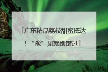 广东精品荔枝甜蜜抵达！“豫”见就别错过