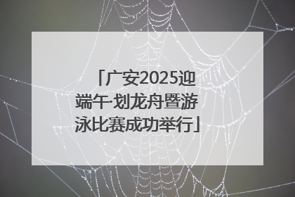 广安2025迎端午·划龙舟暨游泳比赛成功举行