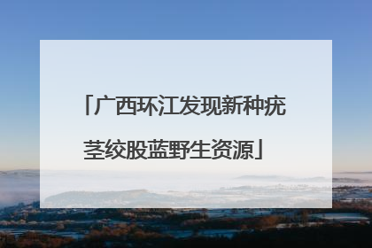 广西环江发现新种疣茎绞股蓝野生资源