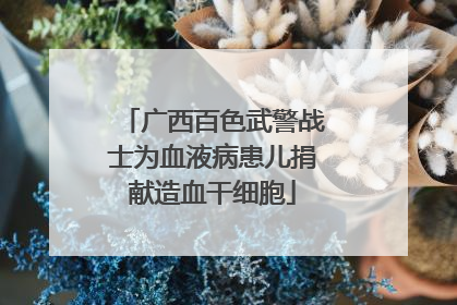 广西百色武警战士为血液病患儿捐献造血干细胞