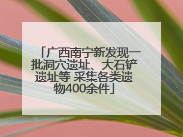广西南宁新发现一批洞穴遗址、大石铲遗址等 采集各类遗物400余件