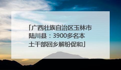 广西壮族自治区玉林市陆川县：3900多名本土干部回乡解纷促和