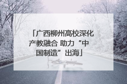广西柳州高校深化产教融合 助力“中国制造”出海