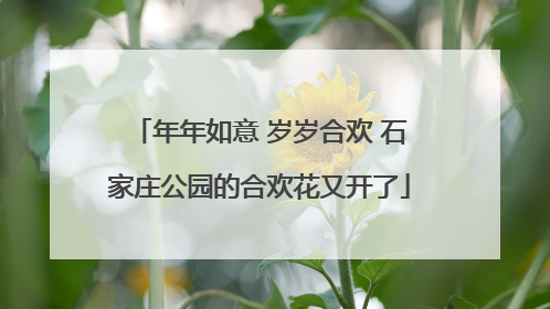 年年如意 岁岁合欢 石家庄公园的合欢花又开了