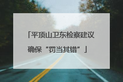 平顶山卫东检察建议确保“罚当其错”
