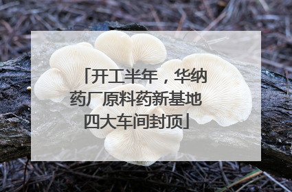 开工半年，华纳药厂原料药新基地四大车间封顶