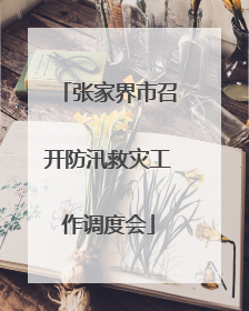 张家界市召开防汛救灾工作调度会