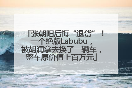 张朝阳后悔“退货”！一个绝版Labubu，被胡润拿去换了一辆车，整车原价值上百万元