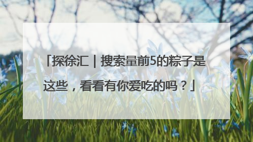 探徐汇｜搜索量前5的粽子是这些，看看有你爱吃的吗？