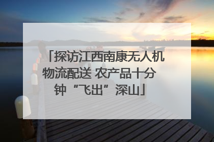 探访江西南康无人机物流配送 农产品十分钟“飞出”深山