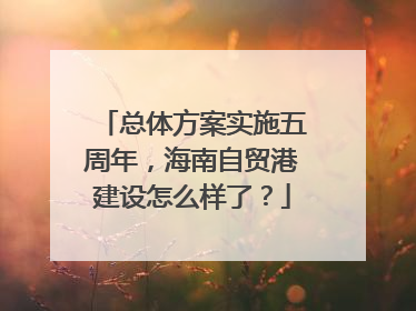 总体方案实施五周年，海南自贸港建设怎么样了？