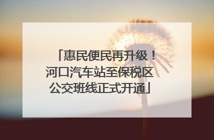 惠民便民再升级！河口汽车站至保税区公交班线正式开通