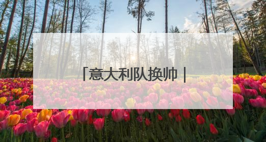 意大利队换帅｜候选人寥寥无几，为何名帅不再垂青“蓝衣军团”？