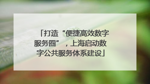 打造“便捷高效数字服务圈”，上海启动数字公共服务体系建设