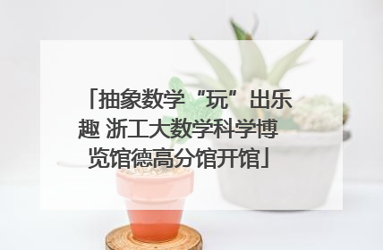 抽象数学“玩”出乐趣 浙工大数学科学博览馆德高分馆开馆