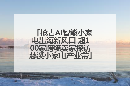 抢占AI智能小家电出海新风口 超100家跨境卖家探访慈溪小家电产业带