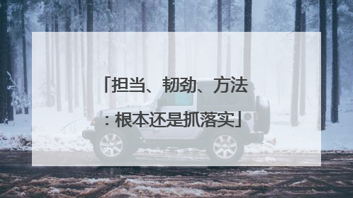 担当、韧劲、方法：根本还是抓落实