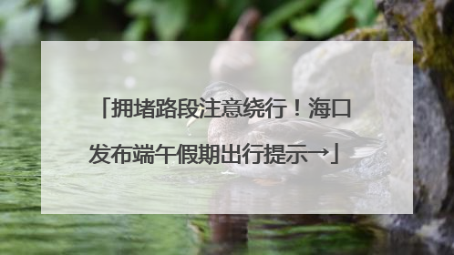 拥堵路段注意绕行！海口发布端午假期出行提示→