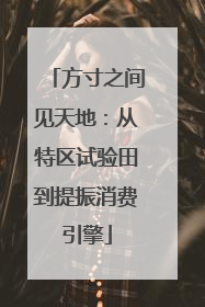 方寸之间见天地：从特区试验田到提振消费引擎