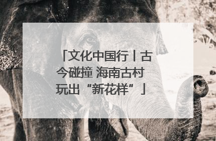 文化中国行丨古今碰撞 海南古村玩出“新花样”