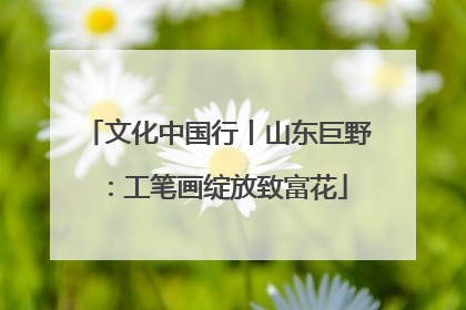 文化中国行丨山东巨野：工笔画绽放致富花