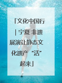 文化中国行｜宁夏 非遗展演让静态文化遗产“活”起来