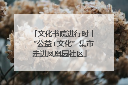 文化书院进行时丨“公益+文化”集市走进凤凰园社区
