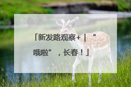 新发路观察+｜“哦啦”，长春！